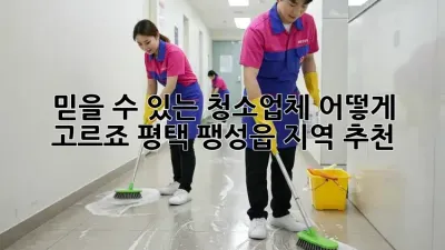 믿을 수 있는 청소업체, 어떻게 고르죠? 평택 팽성읍 지역 추천